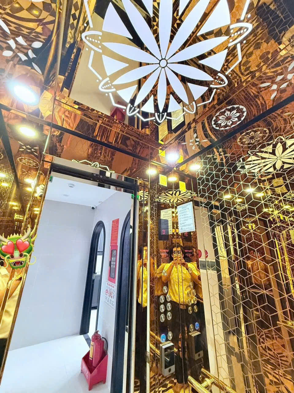 Thang máy inox mạ vàng gương hoa văn